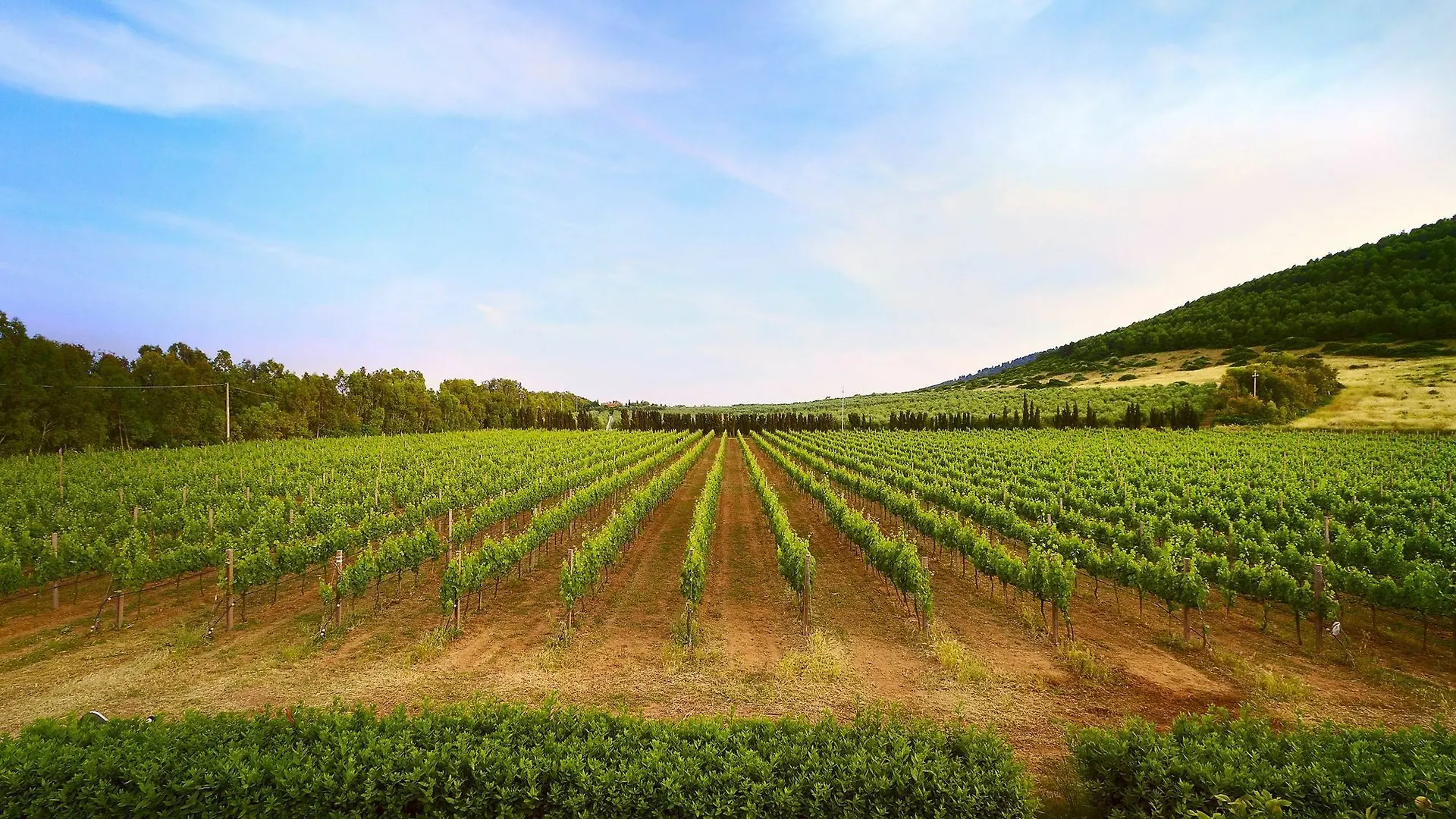 Wine Resort Leda D'Ittiri Alghero Bauernhof